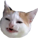 :angery: :angery: