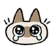 :azukisan008: :azukisan008: